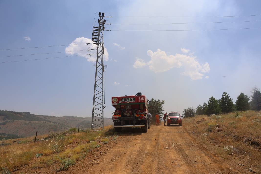 Elazığ'da orman yangını 24